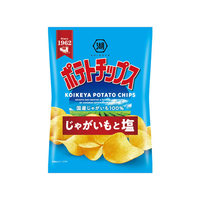 湖池屋 ポテトチップス じゃがいもと塩 FCB777L