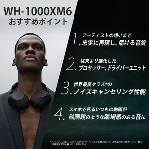 SONY ワイヤレスノイズキャンセリングステレオヘッドセット ミッドナイトブルー WH-1000XM6 L-イメージ2