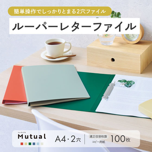リヒトラブ Mutual ルーパーレターファイル A4 スレートブルー FCK722B-F2106-11-イメージ2