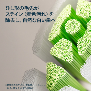 ソニッケア W2 ホワイトプラス ブラシヘッド 3本組 ホワイト HX6063/14-イメージ3
