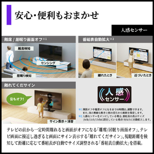 シャープ 65V型4Kチューナー内蔵4K対応有機ELテレビ AQUOS OLED 4T-65S9A-イメージ10