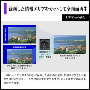 シャープ 55V型4Kチューナー内蔵4K対応有機ELテレビ AQUOS OLED 4T-55S9A-イメージ15