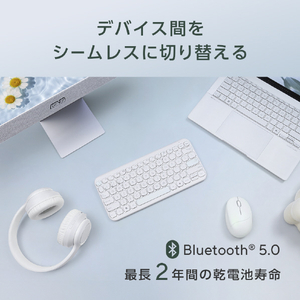 ASUS ASUSKeyboardKW100WH イリディセントホワイト ASUS KEYBOARD KW100/WH-イメージ12
