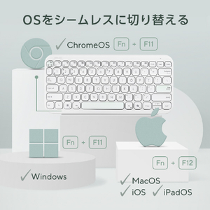 ASUS ASUSKeyboardKW100WH イリディセントホワイト ASUS KEYBOARD KW100/WH-イメージ13