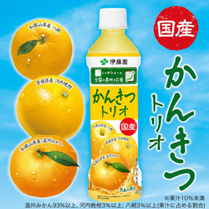 伊藤園 ニッポンエール 国産かんきつトリオ 400g FCG469V-イメージ2