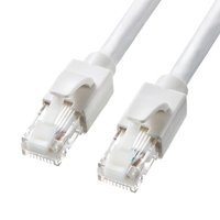 サンワサプライ カテゴリ6A LANケーブル(10m) ホワイト KB-T6ATS-10W