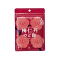 森下仁丹 梅仁丹120 のど飴 60g FCN2457