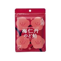 森下仁丹 梅仁丹120 のど飴 60g FCN2457