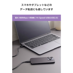 エレコム USB2．0ケーブル(USB Type-C(TM) - USB Type-C/240W) ブラック MPA-CCPE10BK-イメージ6
