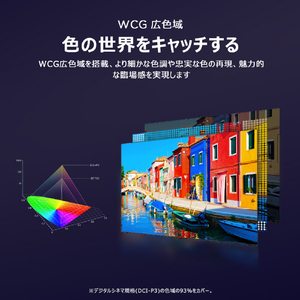 TCL 55V型4Kチューナー内蔵4K対応液晶テレビ e angle select 55P79K-イメージ16