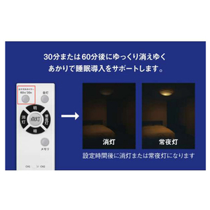 東芝 LEDシーリングライト スピーカー付き NLEH06018E-SDLD-イメージ10