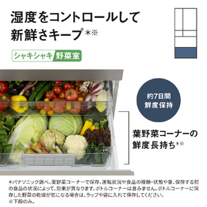 パナソニック 【フレンチドア】551L 6ドア冷凍冷蔵庫 ヘアラインシャンパン NR-F55HY3-N-イメージ12