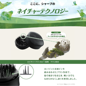 SHARP ヘアブラシ Plasmacluster Beauty ブルー系 ミスティライトブルー IB-B1-A-イメージ14