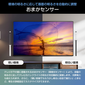 ハイセンス 85V型4Kチューナー内蔵4K対応液晶テレビ C55Sシリーズ 85C55S-イメージ12