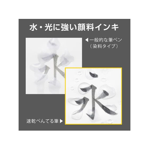 ぺんてる 速乾ぺんてる筆 うす墨 FCB9393-XFPD3L-イメージ7