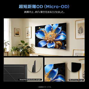 TCL 43V型4Kチューナー内蔵4K対応液晶テレビ 43T6D-イメージ18