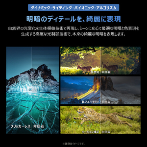 TCL 43V型4Kチューナー内蔵4K対応液晶テレビ 43T6D-イメージ19