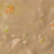 デビフペット レンチン 温めてほかほかごはん ささみ&レバー すりおろし野菜50g ﾚﾝﾁﾝｱﾀﾀﾒｻｻﾐﾚﾊﾞ-ﾔｻｲ50G-イメージ3