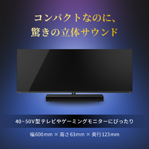 TVS REGZA REGZAサウンドシステム RA-B100-イメージ5
