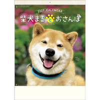 新日本カレンダー カレンダー 2027年度版柴犬まるとおさんぽ 2027CL393ｼﾊﾞｲﾇﾏﾙﾄｵｻﾝﾎﾟ