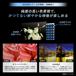 TVS REGZA 43V型 4K液晶テレビ 43M550R-イメージ5
