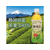 ミツウロコ 静岡茶 静岡県産茶葉100％使用 500mL FCV3946-イメージ2