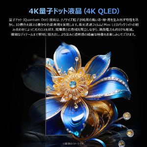 TCL 4K QLED液晶テレビ e angle select 55T69D-イメージ11