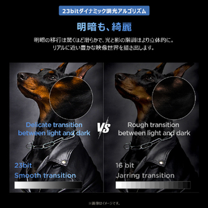 TCL 4K QLED液晶テレビ e angle select 55T69D-イメージ19
