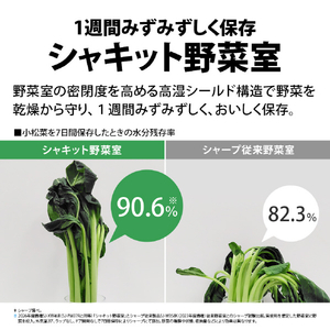 SHARP 【両開き】374L 3ドア冷蔵庫 どっちもドア冷凍冷蔵庫 ダークアッシュグレー SJ-PW37R-H-イメージ9