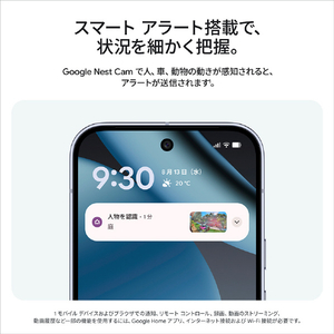 Google Google Nest Cam Outdoor(電源アダプター式 / 第 2 世代) Snow GA09963-JP-イメージ5
