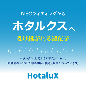 HotaluX LEDシーリングライト HLDZ08424SG-イメージ4
