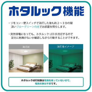 HotaluX LEDシーリングライト HLDZ06403SG-イメージ5