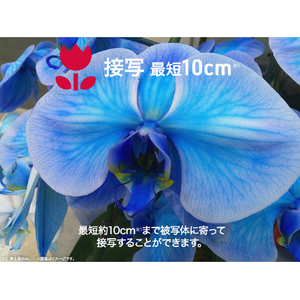 aiwa コンパクトデジタルカメラ ホワイト JA4-DCM0001(WH)-イメージ4