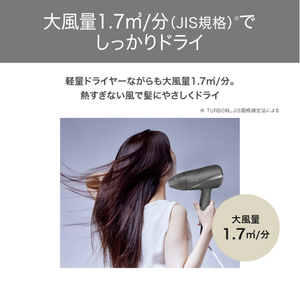 テスコム プロテクトイオン ヘアドライヤー グレー TD360AH-イメージ3