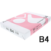 Forestway コピーペーパーPII B4 500枚 1冊 F817097-FRW892278