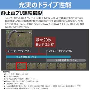 キヤノン ミラーレス EOSR6MK3 BODY EOSR ブラック EOSR6MK3-イメージ10
