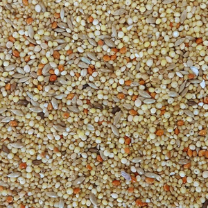 ナチュラルペット エクセル おいしい小鳥の食事皮むき 900g FC435RW-イメージ2