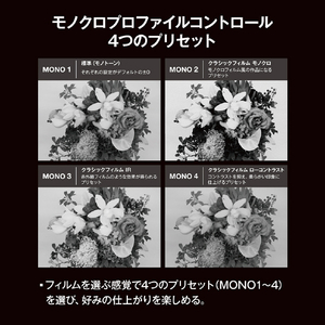 OMデジタルソリューションズ デジタル一眼カメラ OM-3 12-45mm F4．0 PROレンズキット OMSYSTEM ブラック OM-3 12-45MMF4.0PROKITSLV-イメージ12