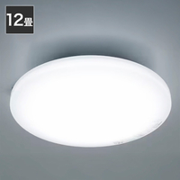 ニトリ LEDシｰリングライト NS005 12J ホワイト LEDｼ-ﾘﾝｸﾞﾗｲﾄ NS005 12J