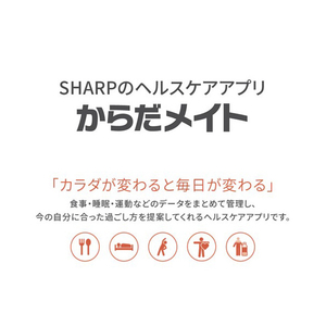 シャープ スマートリング / サイズUS11号 シルバー MH-R01HX-S-イメージ7