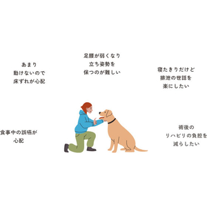 アロン化成 リラクッションブラウン DM FCJ411U-イメージ2