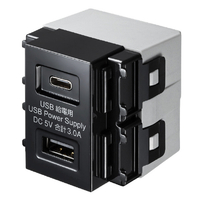 サンワサプライ 埋込USB給電用コンセント(Type-C搭載) ブラック TAP-KJUSB1C1BK