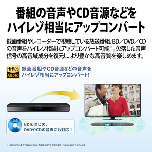 シャープ 2TB HDD/4Kチューナー内蔵ブルーレイレコーダー AQUOS ブルーレイ 4B-C20GT3-イメージ5