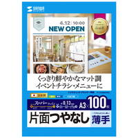 サンワサプライ インクジェットスーパーファイン用紙(A3・マット・薄手・100枚) JP-EM4NA3N3