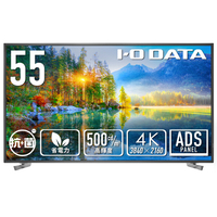 I・Oデータ 55型4K液晶ディスプレイ(抗菌モデル)（受注生産） LCD-U551D-AG