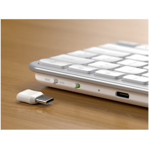 Satechi Sastechi Slim EX1 Wireless Keyboard US Layout (シルバー) (S-EN)シルバー PST-KEX1S-EN-イメージ13