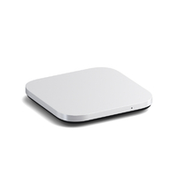 SATECHI Satechi USB4 Slim NVMe SSD Enclosure シルバー PST-EU4SNSS