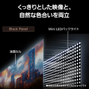 パナソニック 65型 4K対応液晶テレビ VIERA TV-65W93C-イメージ9