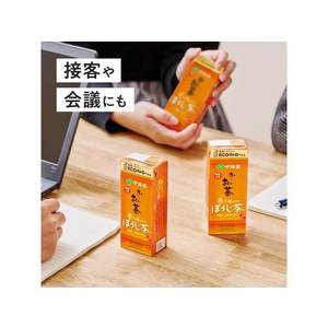 伊藤園 お～いお茶 ほうじ茶 250mL FCT1217-イメージ8