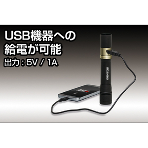 ジェントス LEDフラッシュライト RX-486PB-イメージ4